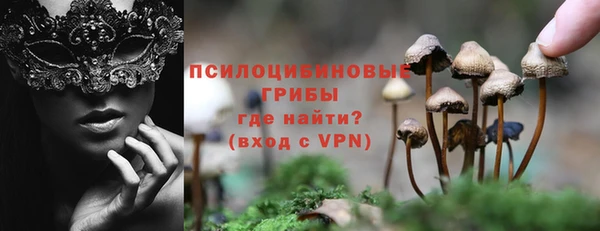 дживик Баксан
