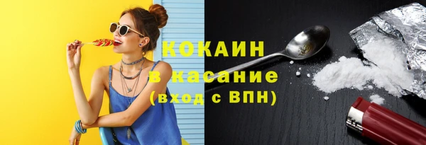 дживик Баксан