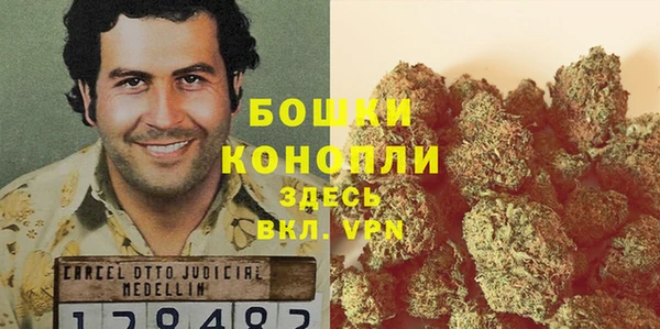 дживик Баксан