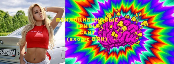 дживик Баксан