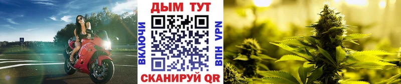Бошки Шишки AK-47 Новоузенск